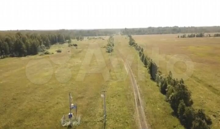 Участок 100 сот. (СНТ, ДНП)