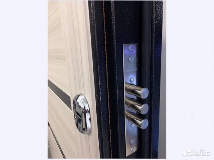 Металлическая дверь с биометрическим замком