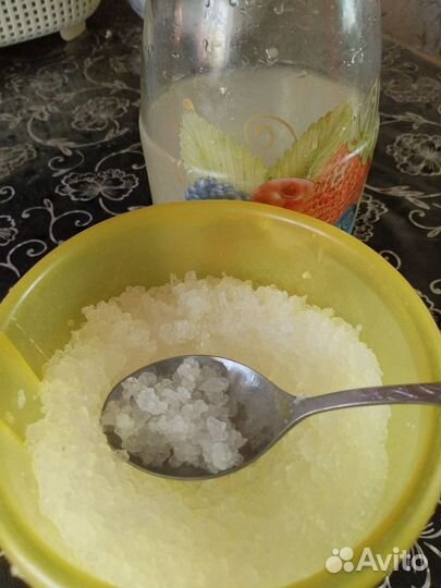 Индийский морской рис и кефирный гриб