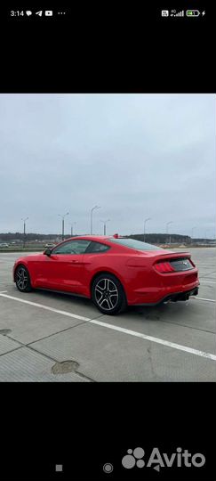 Ford Mustang 2.3 AT, 2018, 99 000 км