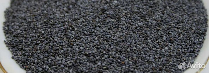 Мак кондитерский