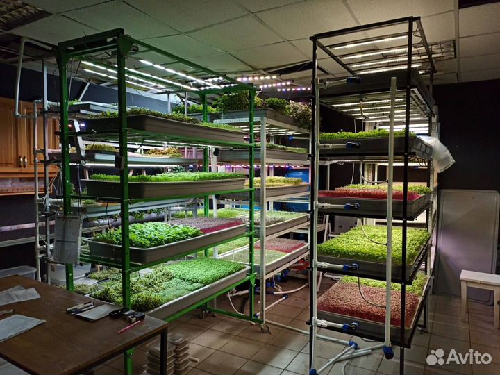 Запуск сити-фермы в твоём городе. Помощь