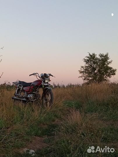 Альфа 72 куба