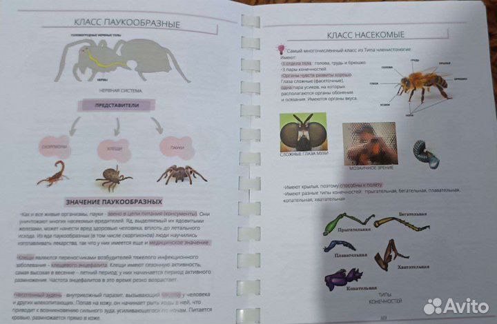 Учебник по биологии