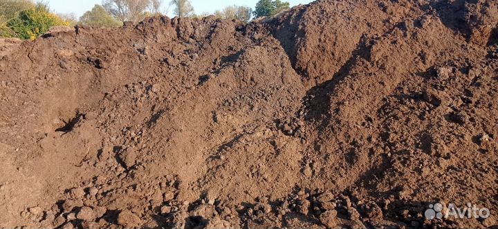 Навоз коровий