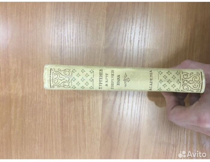 Книга Academia Тургенев и круг Современника