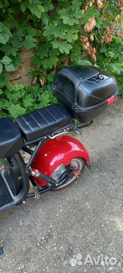 White Siberia /сity-coco