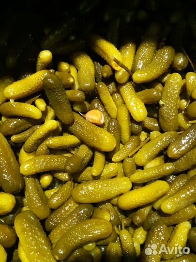 Бочковые огурцы