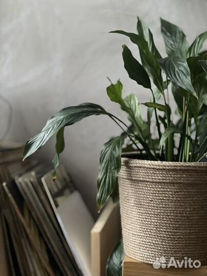 Горшок для цветов