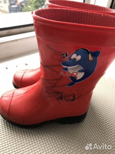 Сапоги поздняя осень/ранняя весна