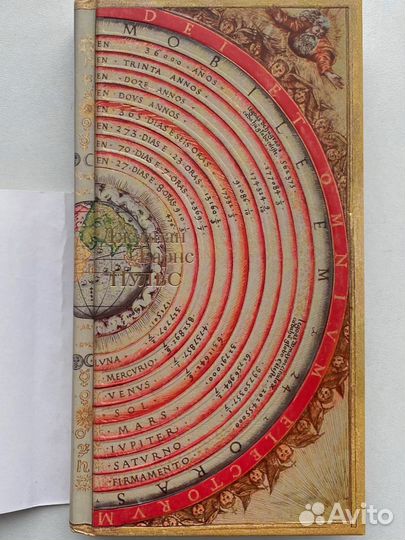 Джулиан Барнс 