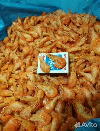 Креветка черноморская