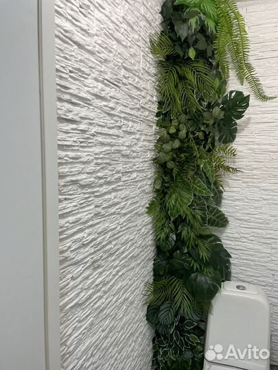 Фитокартины озеленение интерьера