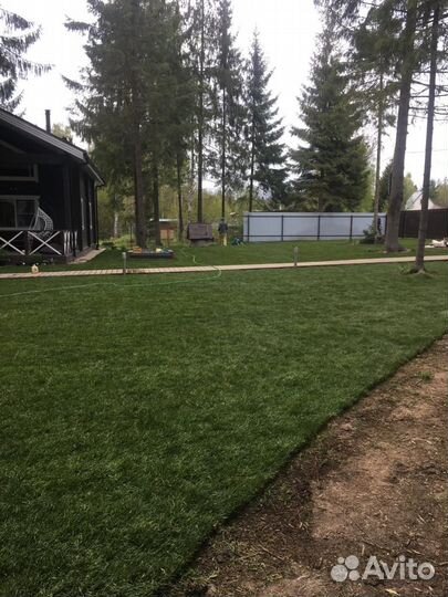 Рулонный газон от производителя эконом