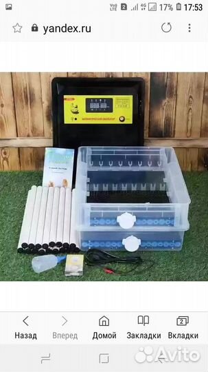 Инкубатор для яиц автоматический бу