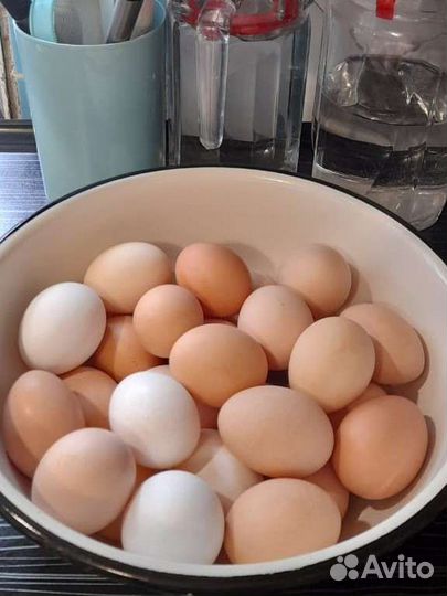 Домашние куриные яйца