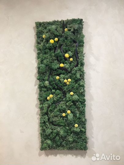 Пано из стабилизированного мха