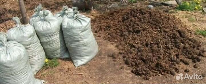 Конский перегно в мешках