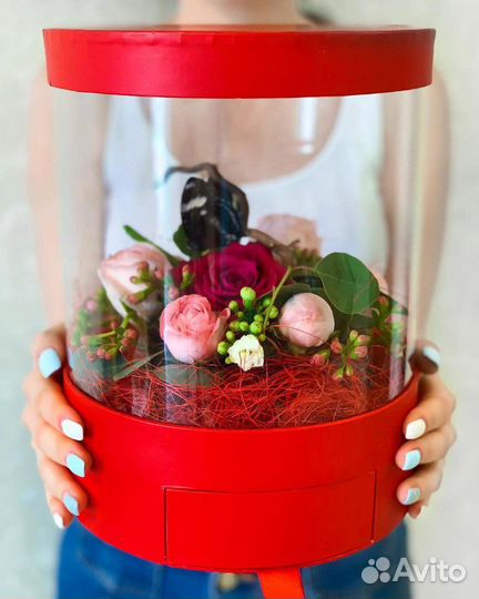 Живые тропические бабочки в наличии