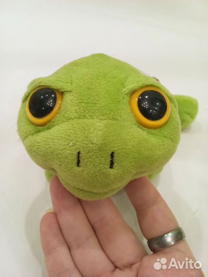 Черепаха подозревака Kinder