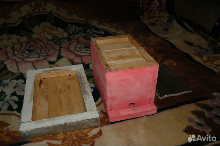 Продам мини нуклеусы