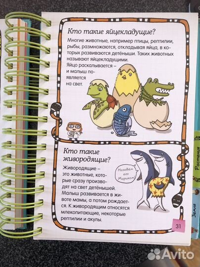 Познавательная книга для детей