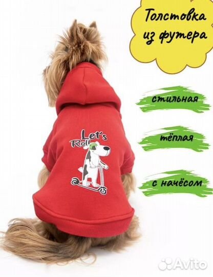 Одежда для собаки