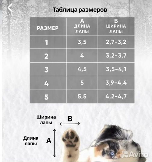 Обувь для собак мелких пород