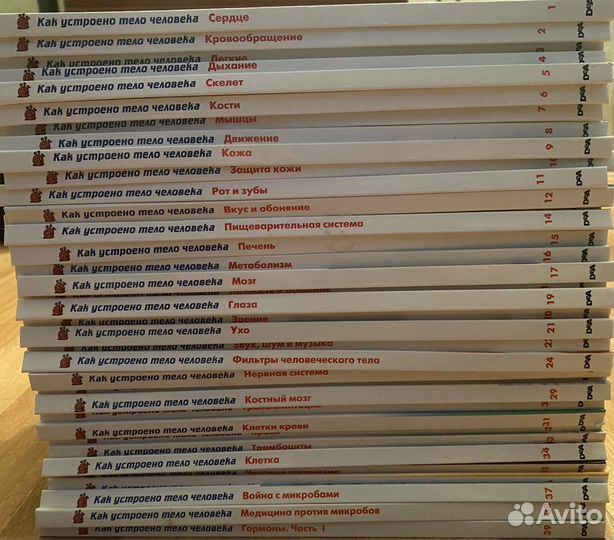 Книги как устроено тело человека