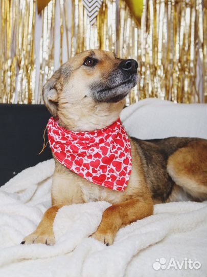 Вернули как вещь