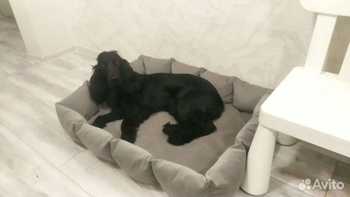 Лежанка для большой собаки новая