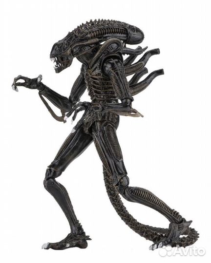 Фигурка Alien Xenomorph Warrior (Чужой) 20см