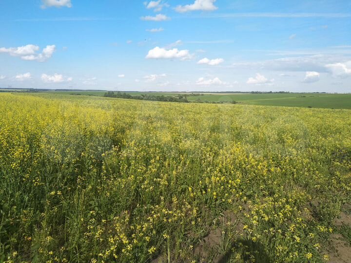 Дом 70 м² на участке 10 га