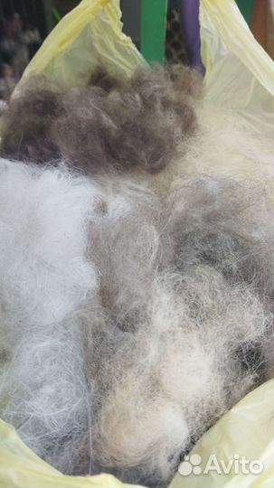 Собачий пух