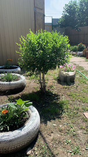 Дом 56,7 м² на участке 16 сот.