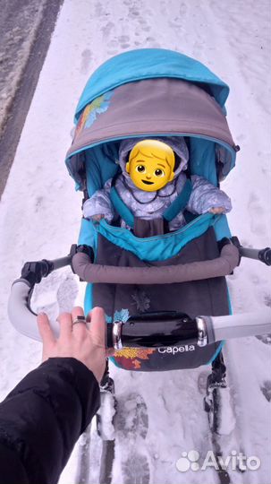 Коляска capella