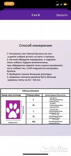 Тапочки для собак