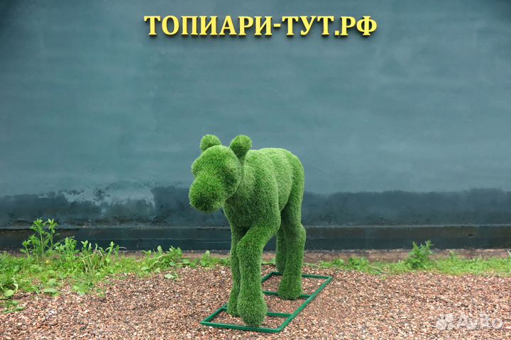 Топиари Топиарные фигуры Садовые фигуры