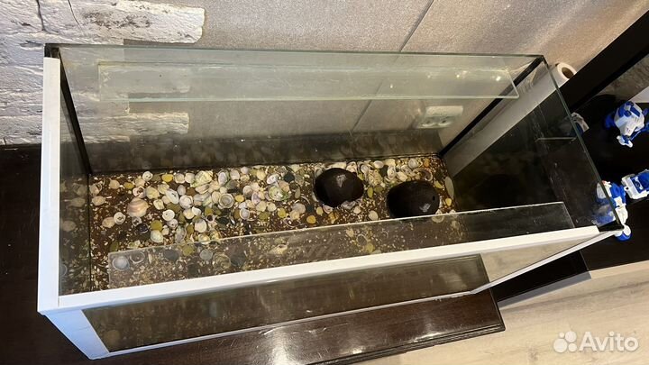 Аквариум террариум