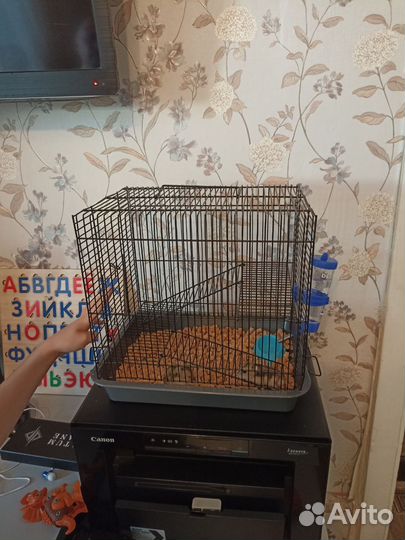 Клетка для джунгарского хомяка+2 хомяка