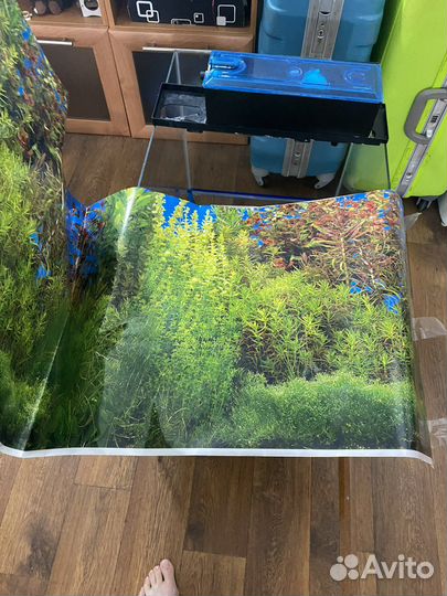 Аквариум для красноухой черепахи