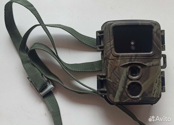 Фотоловушка