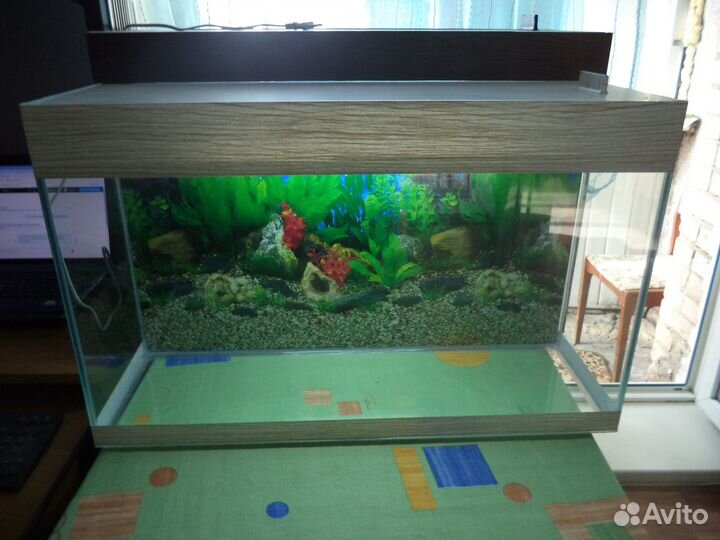 Новые Аквариумы 20.40.50.60.80.100 и 130 л