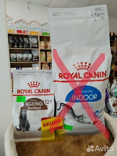 Корма для животных