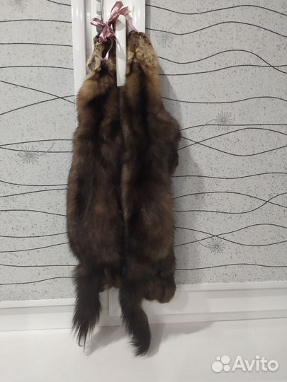 Шкуры соболя