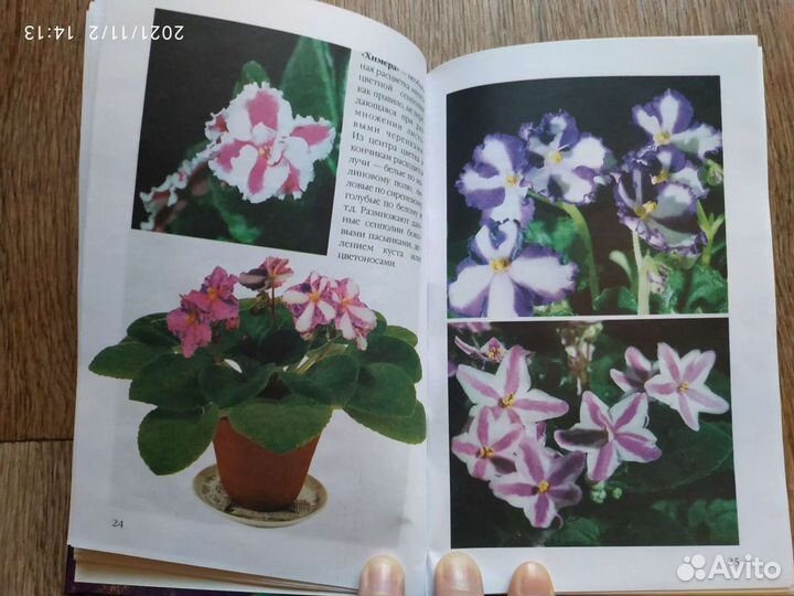 Книга о фиалках