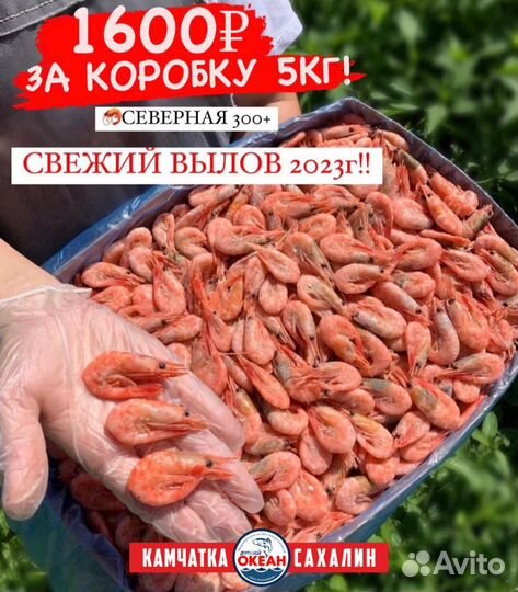 Рыба и морепродукты