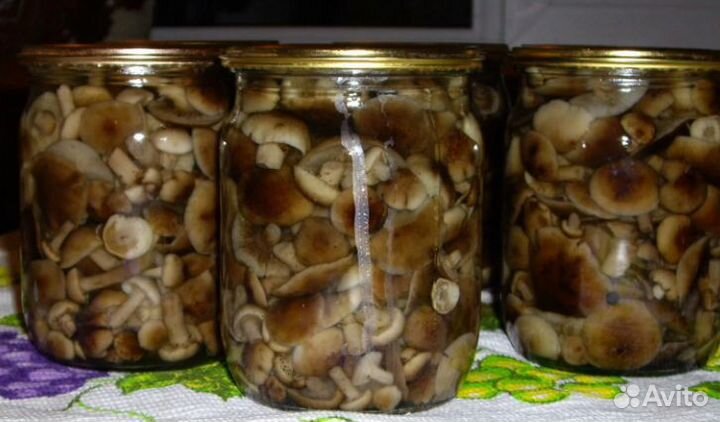 Клюква свежая