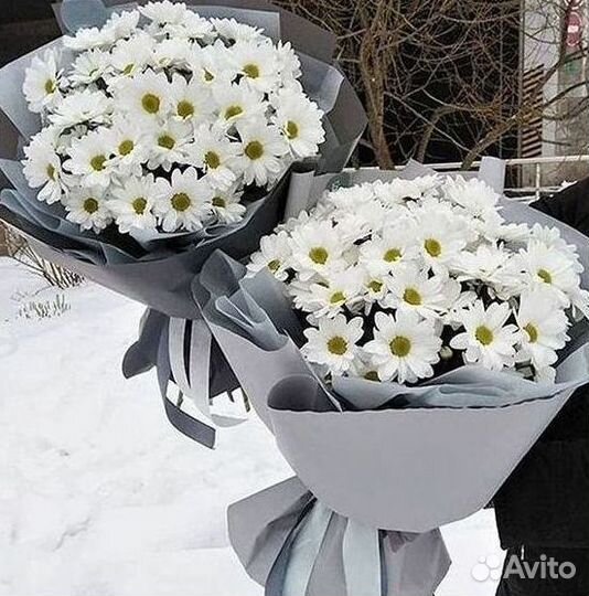 Доставка букетов и цветов. Хризантема