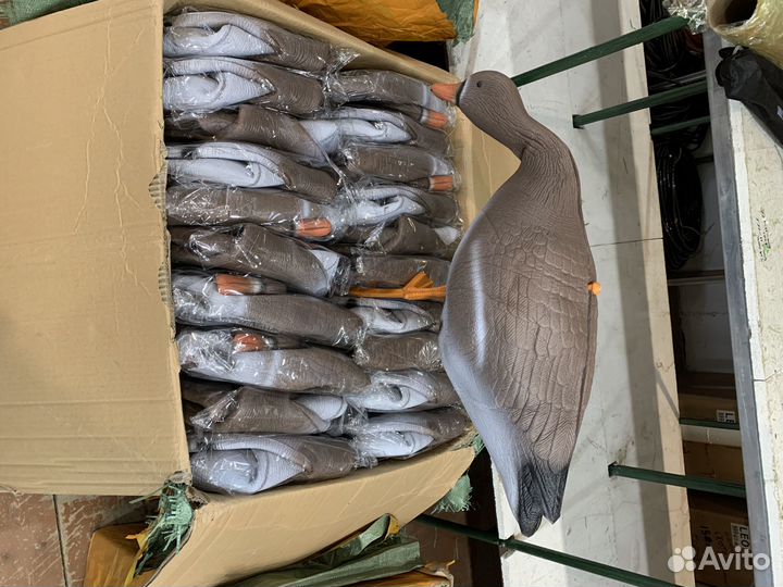 10 шт. Чучело белолобого гуся